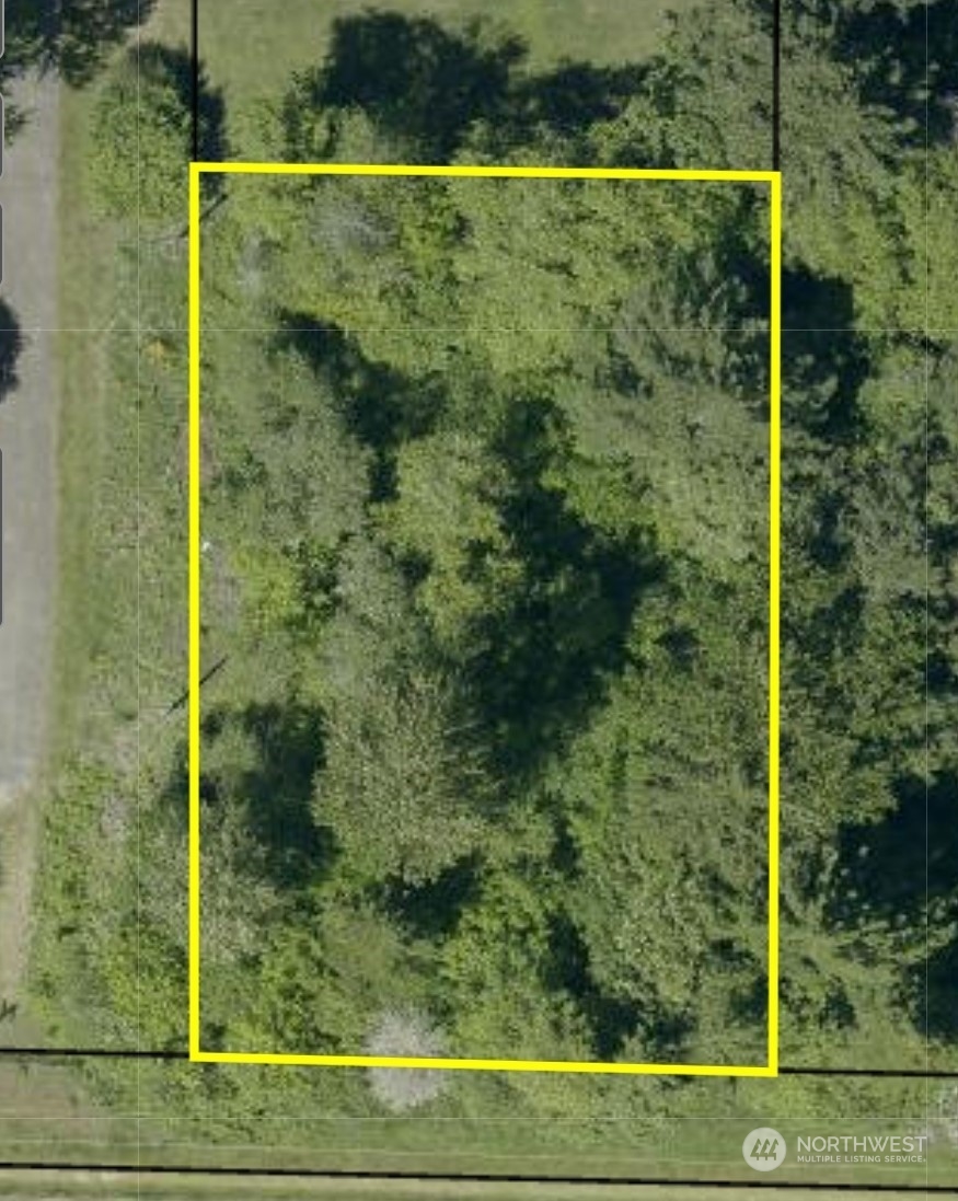 0 Haynes Road South Packwood, WA 98361 - Photo 1 of 7 Gallery Image 1