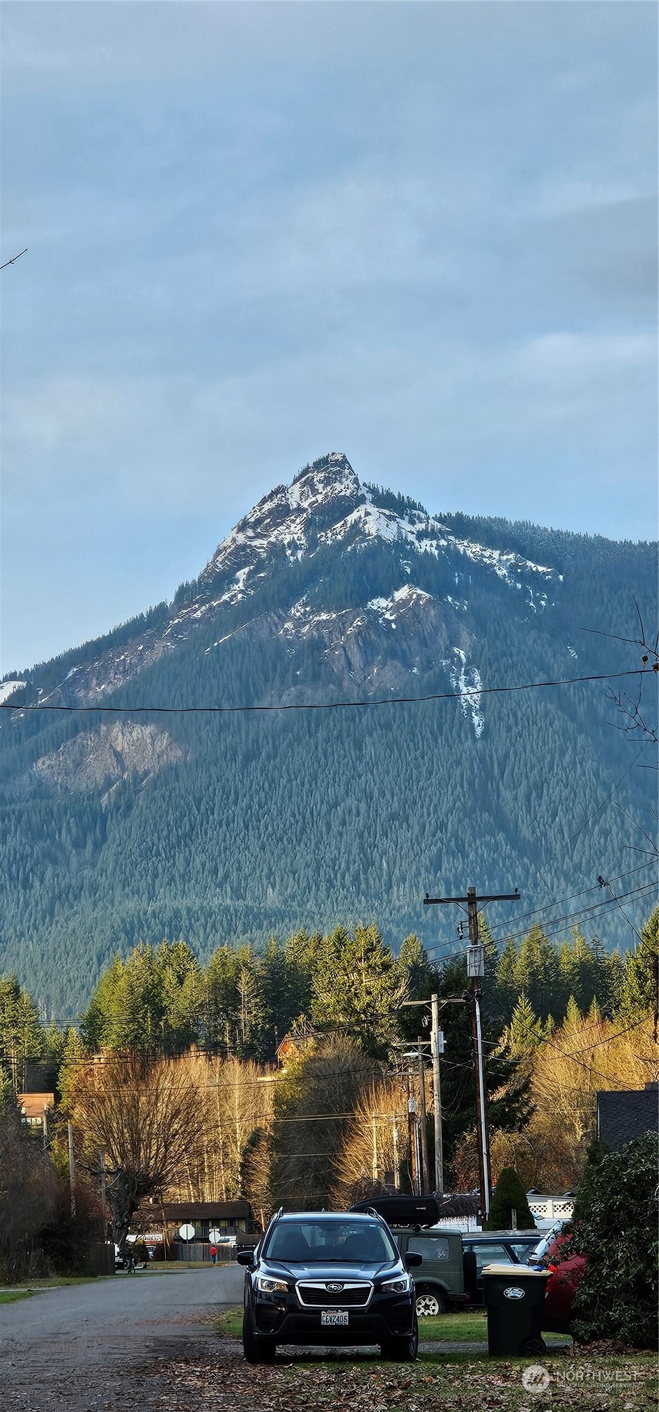 0 Haynes Road South Packwood, WA 98361 - Photo 4 of 7 Gallery Image 4