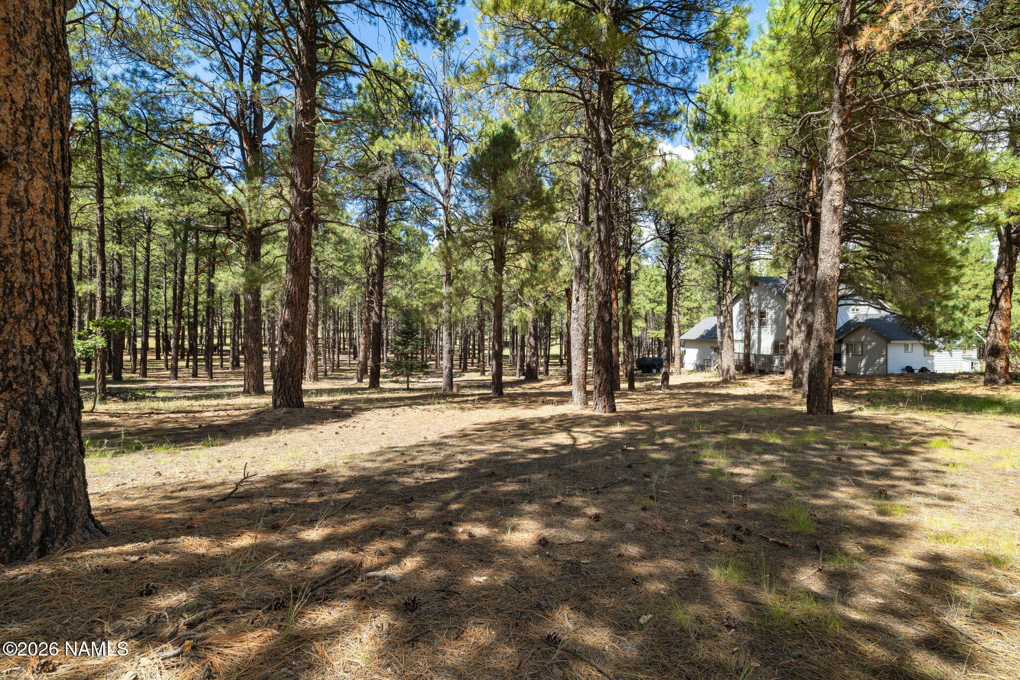 1842 Deer Pass Road Williams, AZ 86046 - Photo 108 of 109 52-web-or-mls-JC0A0768