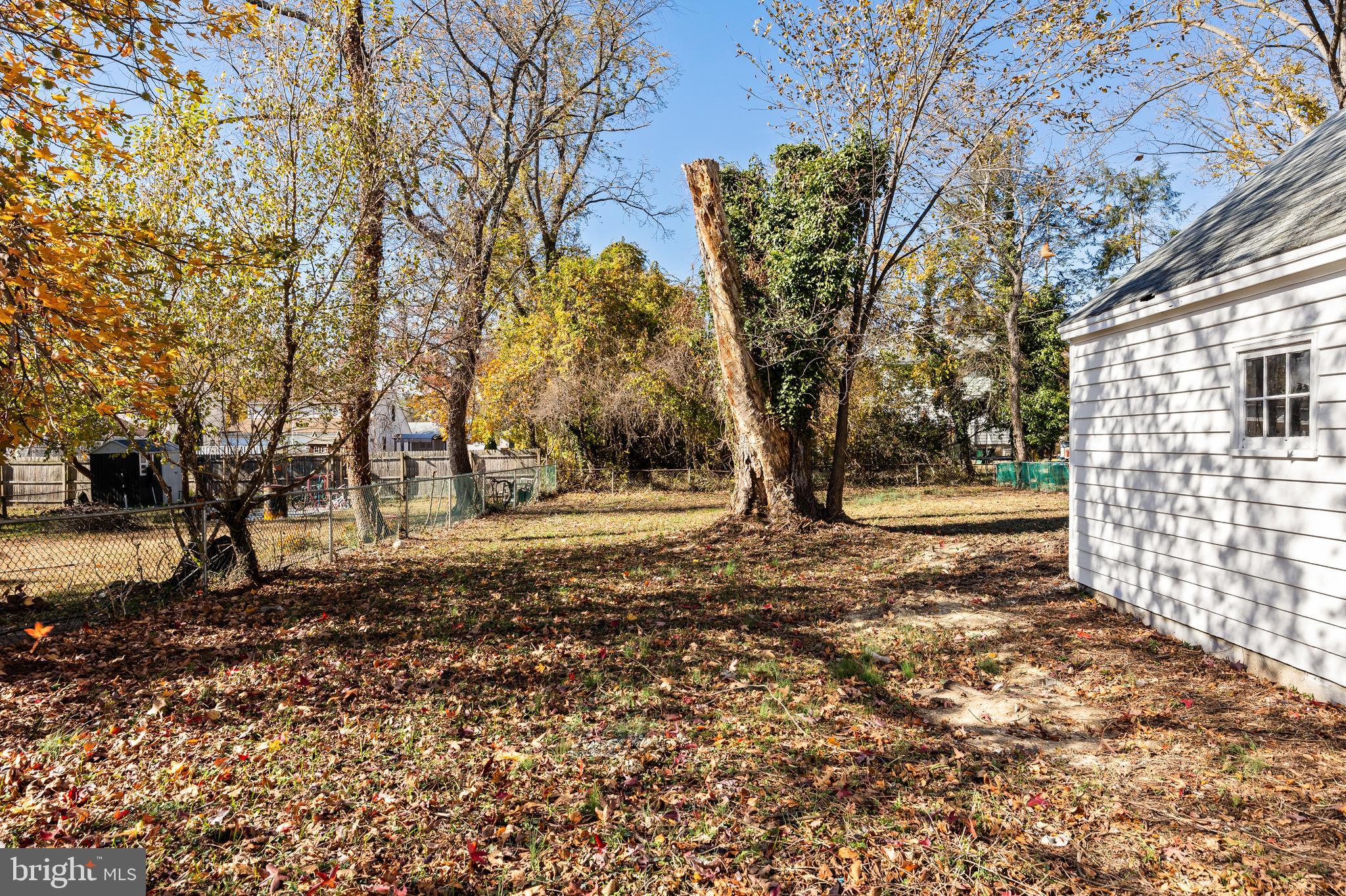 104 West Park Avenue Lindenwold, NJ 08021 - Photo 25 of 26 a view of yard with trees