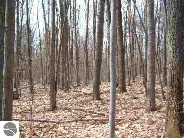 0 Wangler Road Rose City, MI 48654 - Photo 4 of 5 1762505-3.JPG