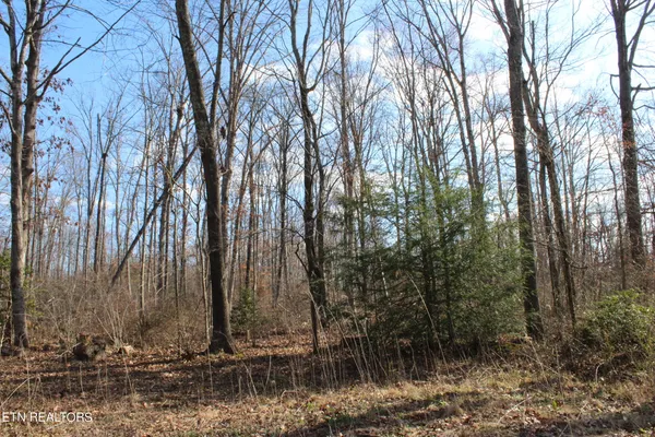 $150,000 | Fairgrounds Road, Jamestown, TN 38556