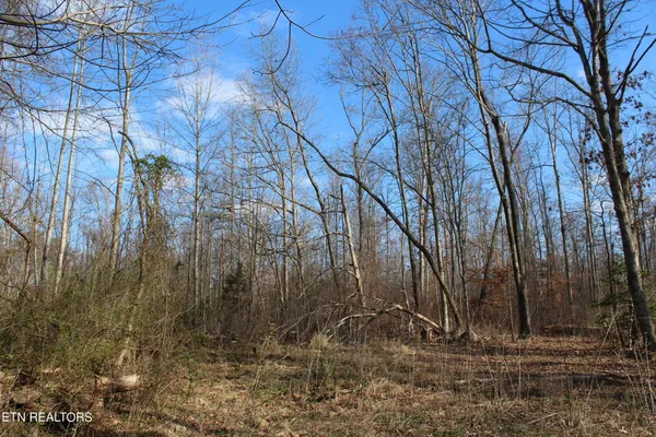 $150,000 | Fairgrounds Road, Jamestown, TN 38556