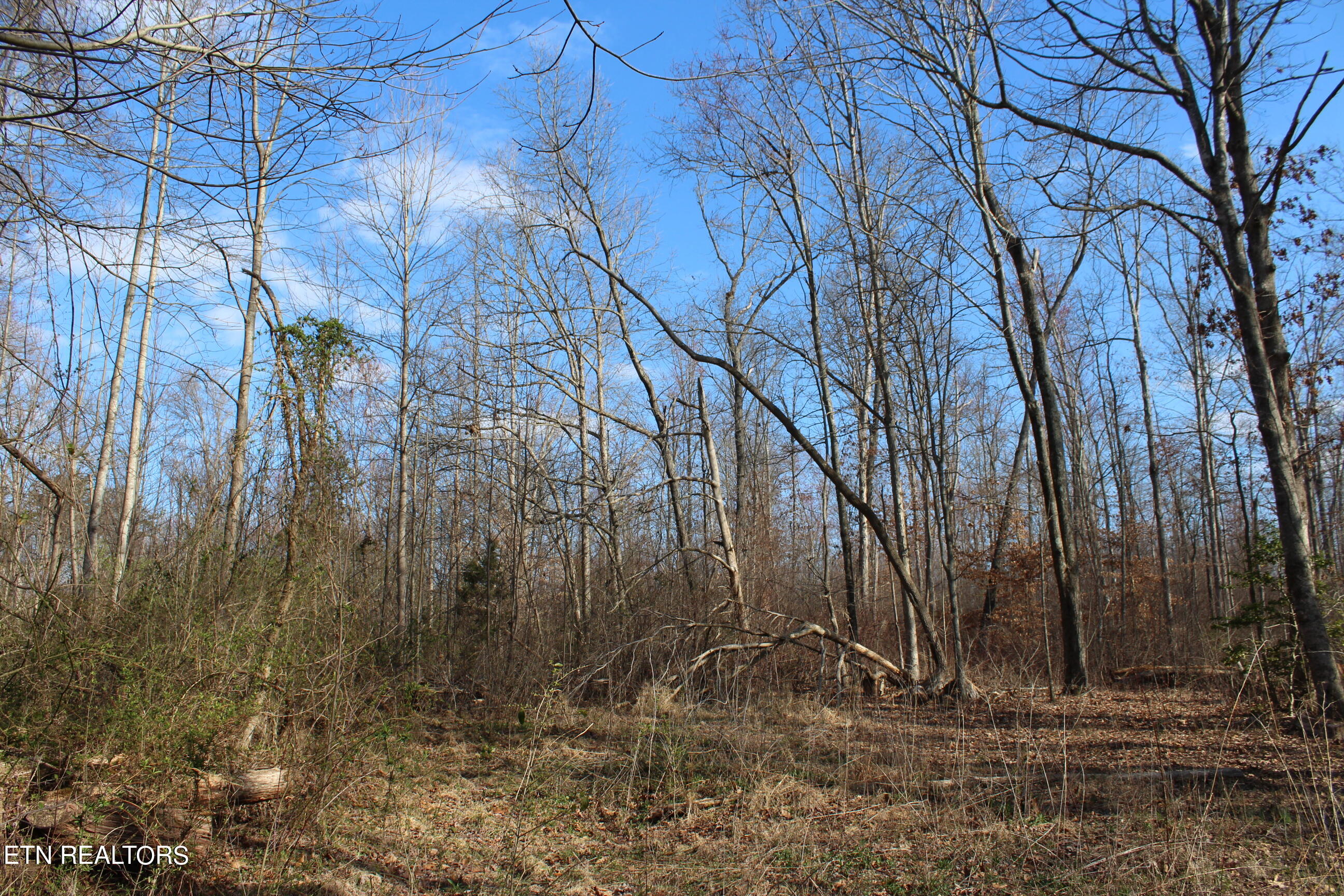 Fairgrounds Road Jamestown, TN 38556 - Photo 6 of 6 IMG_5342