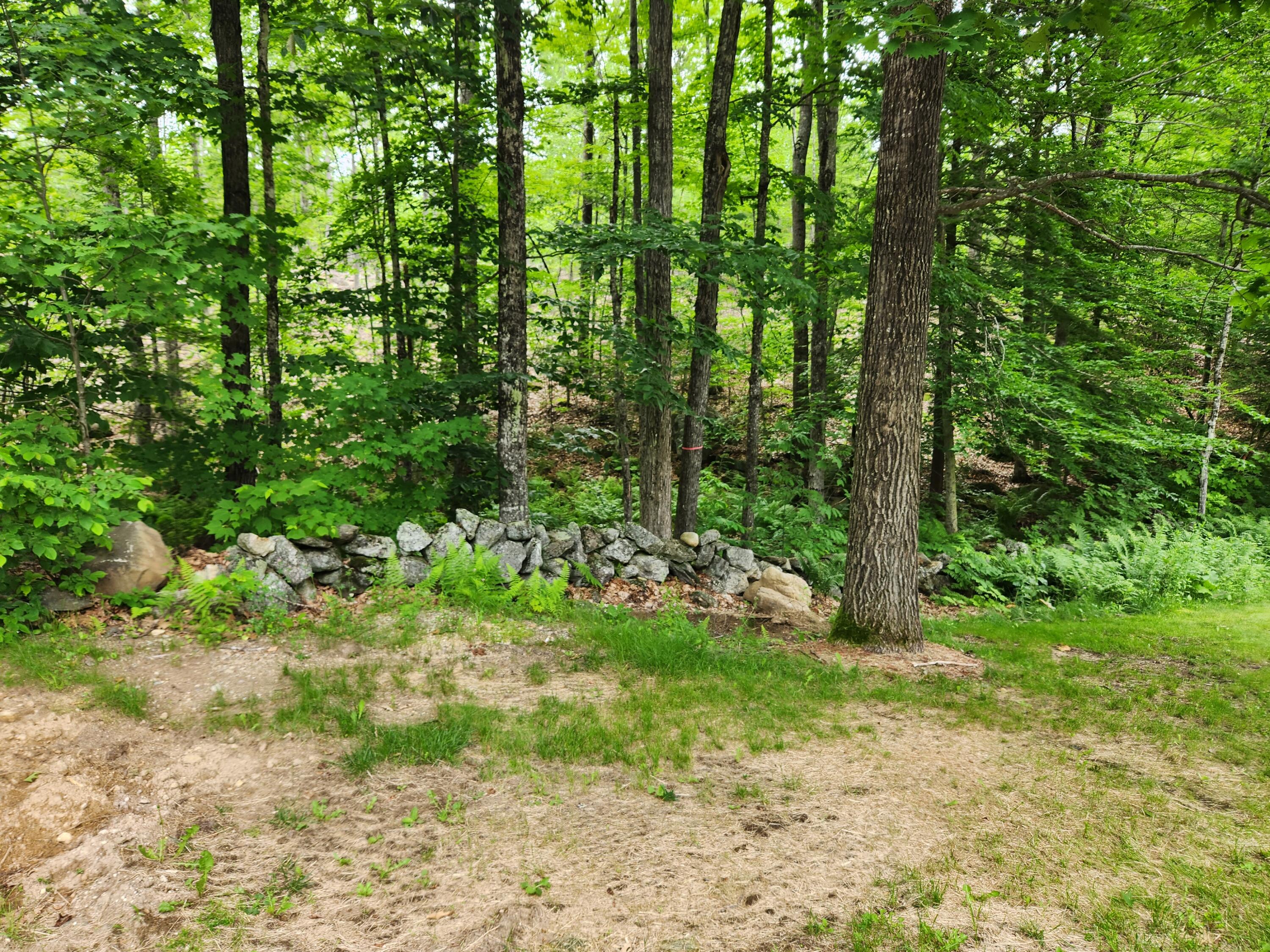153 Sodom Road Hebron, ME 04238 - Photo 10 of 29 20230624_091104