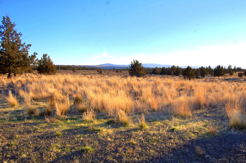 7696 Iowa Road Prineville, OR 97754 - Photo 1 of 15 DSC_2585