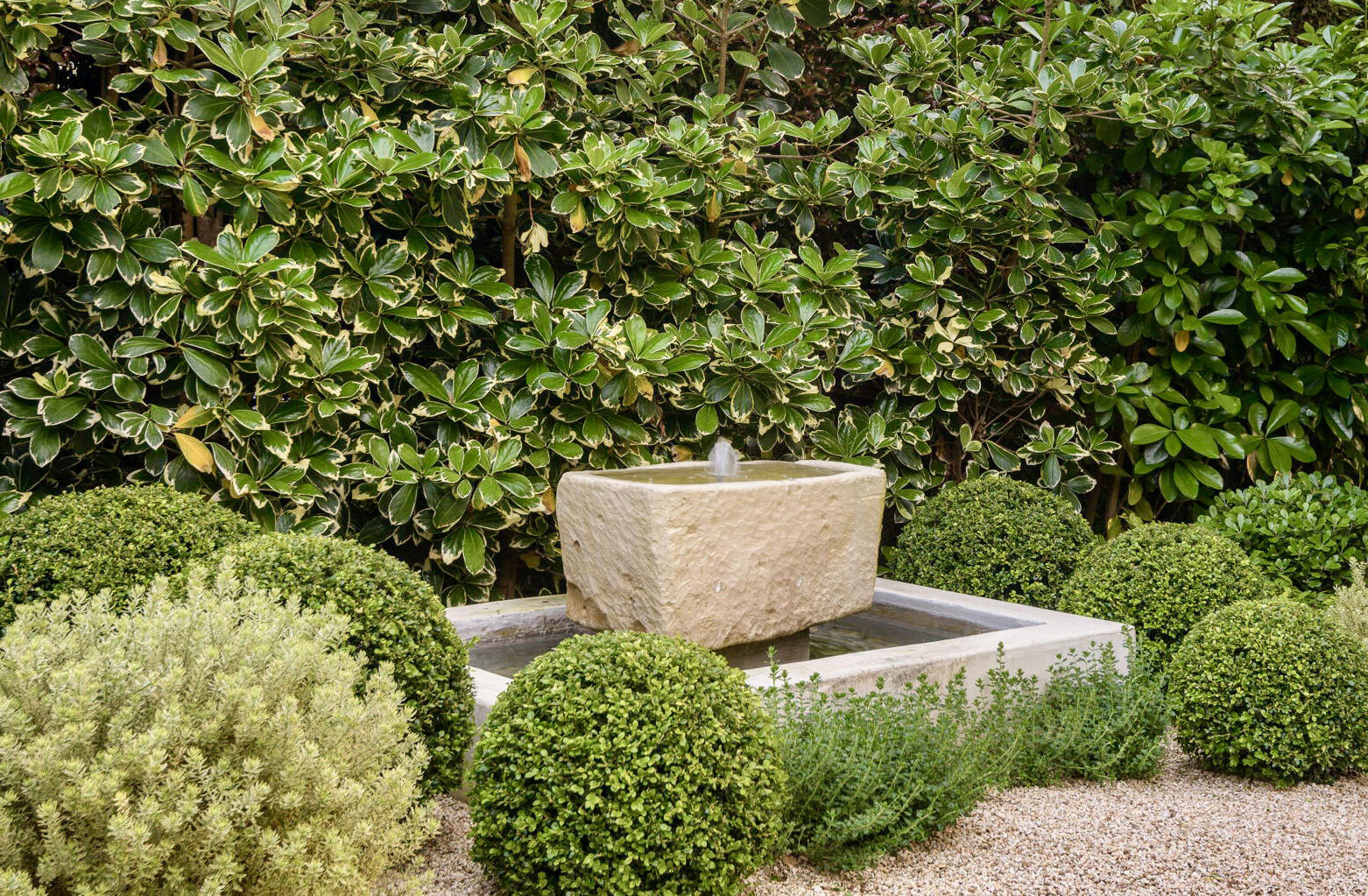 135 Pomar Lane Montecito, CA 93108 - Photo 24 of 29 a view of a potted plant in a yard