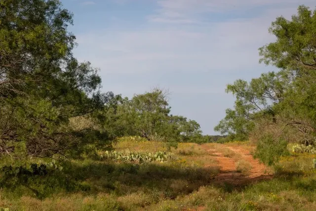 $2,750,000 | 0 Us Highway, Mason, TX 76856