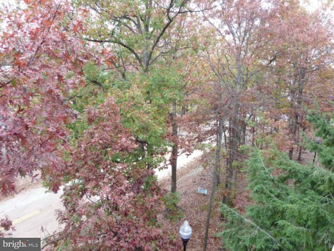 2903 Fallstaff Road, Unit 503 Baltimore, MD 21209 - Photo 19 of 20 a backyard of a house with lots of trees