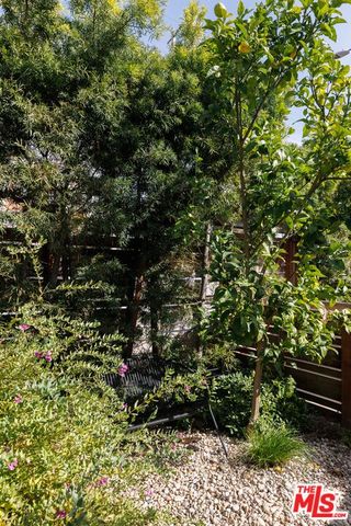 a view of a tree in a backyard of a house