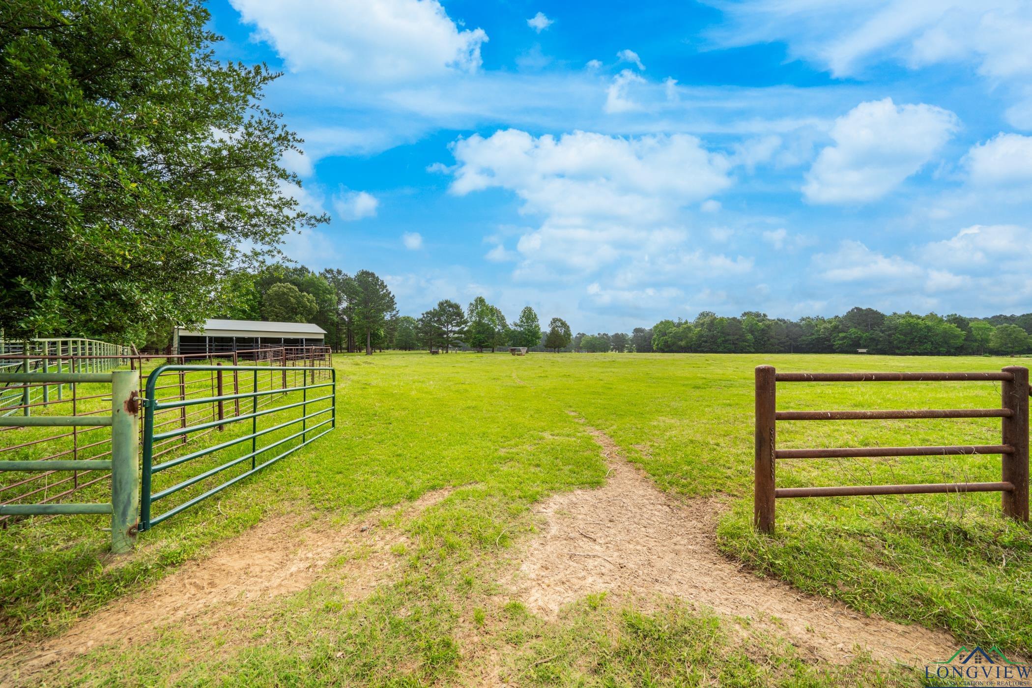 1117 Jonquil Road Gilmer, TX 75645 - Photo 32 of 36 Gallery Image 32