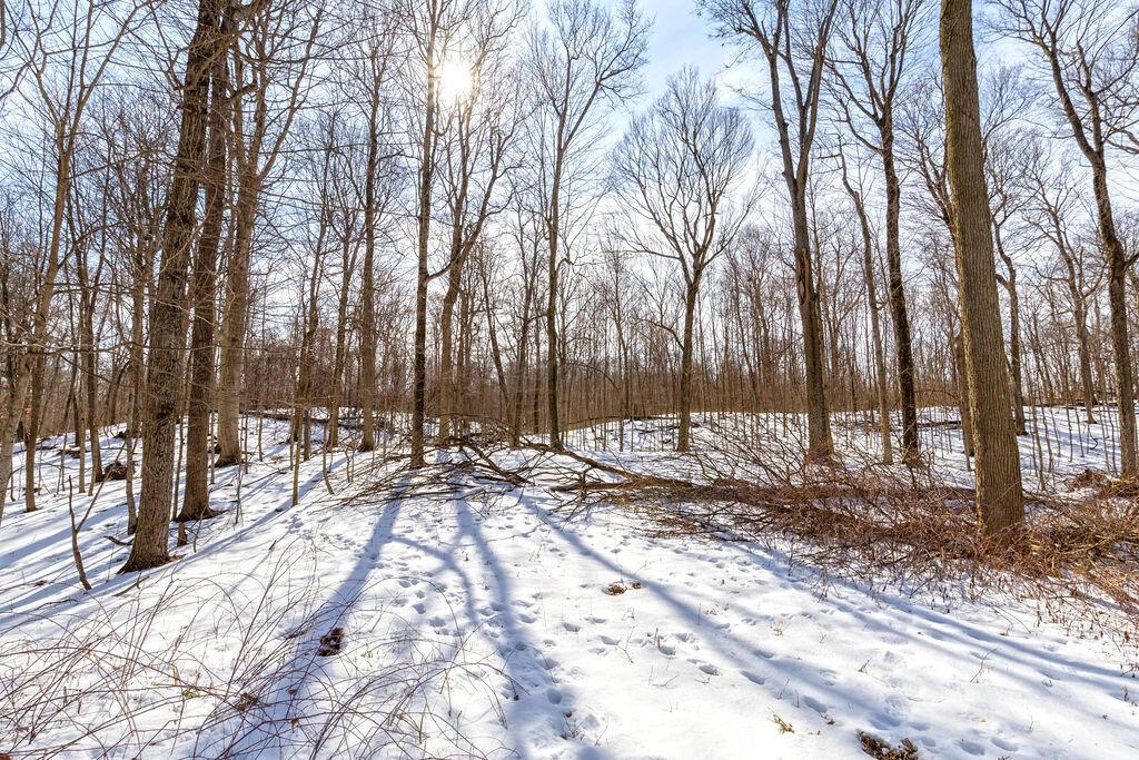 0 Eaglenest Road West Liberty, OH 43357 - Photo 7 of 45