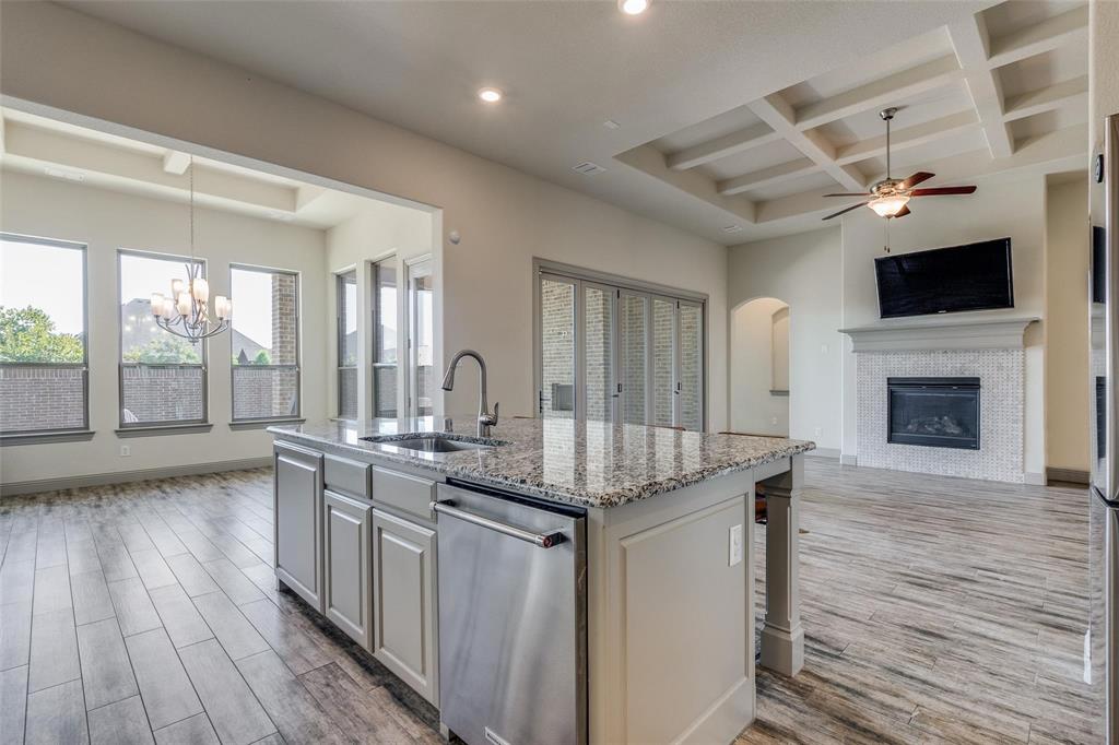 16178 Buffalo Grass Road Frisco, TX 75033 - Photo 5 of 12