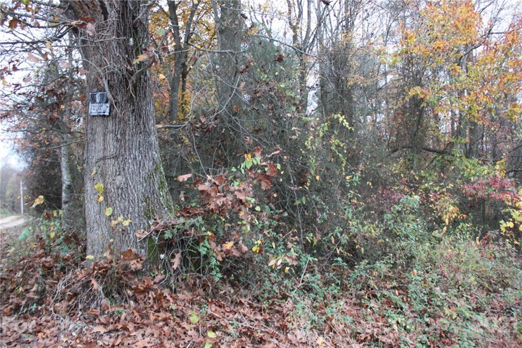 Tbd McKinley Road Roaring River, NC 28669 - Photo 1 of 6 Gallery Image 1
