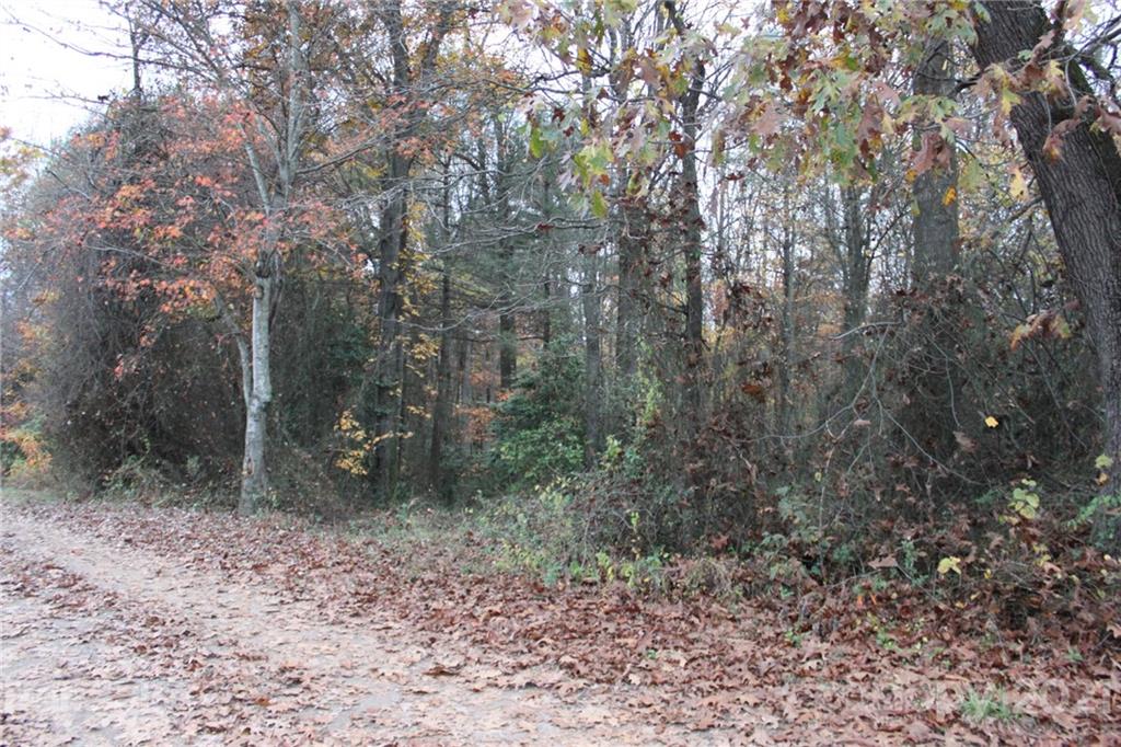 Tbd McKinley Road Roaring River, NC 28669 - Photo 2 of 6 Gallery Image 2