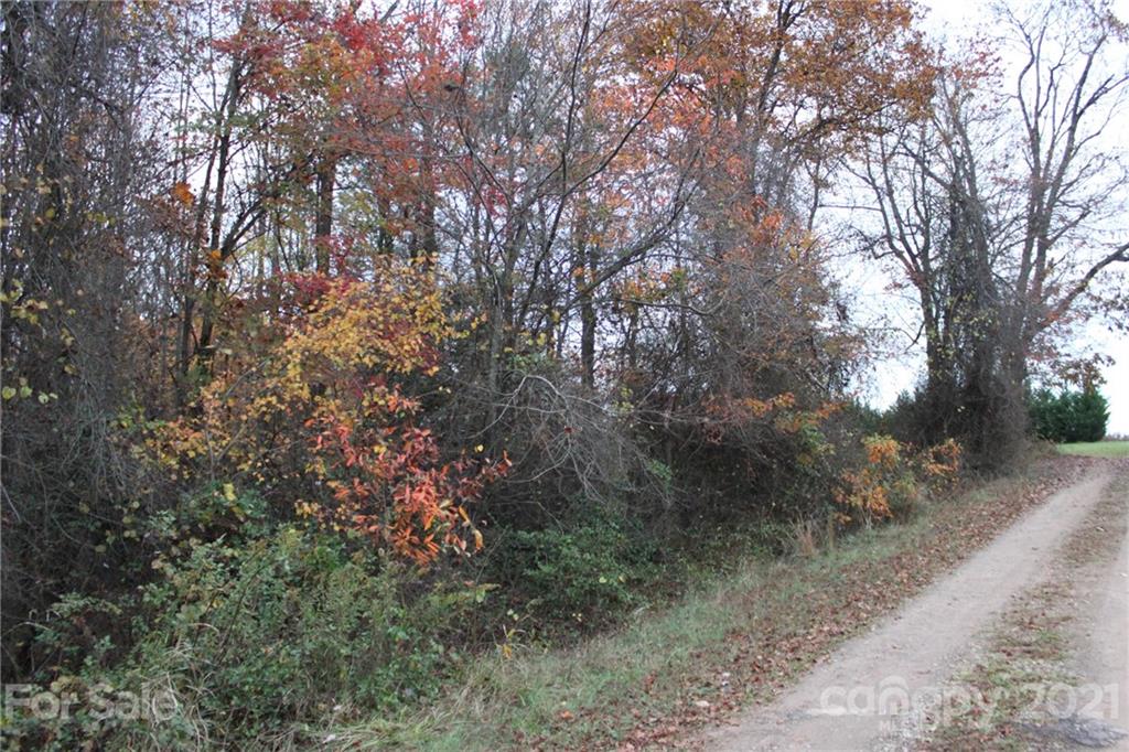 Tbd McKinley Road Roaring River, NC 28669 - Photo 3 of 6 Gallery Image 3