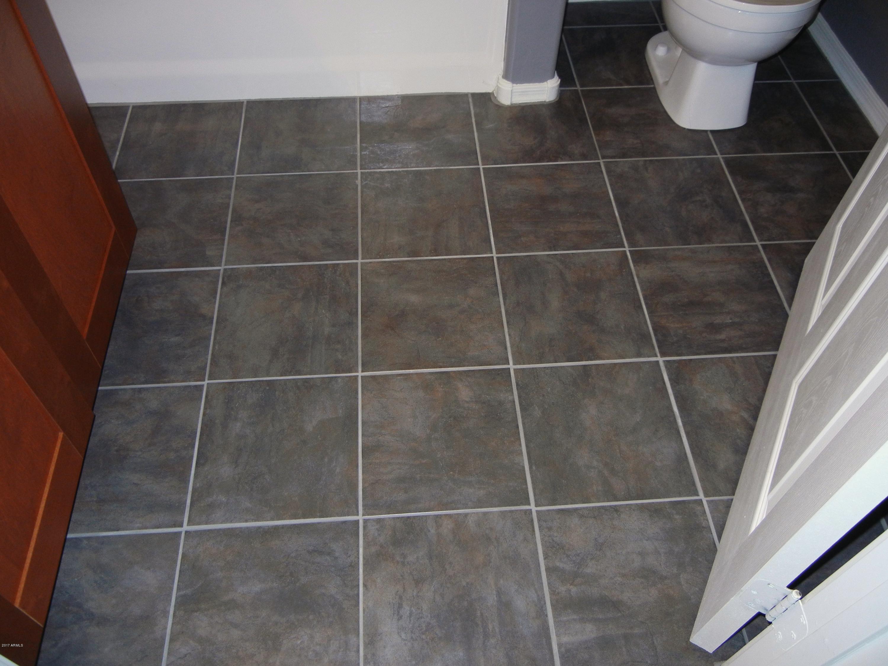 1287 North Alma School Road, Unit 165 Chandler, AZ 85224 - Photo 15 of 28 Alma sch bath 4 DSCN9884