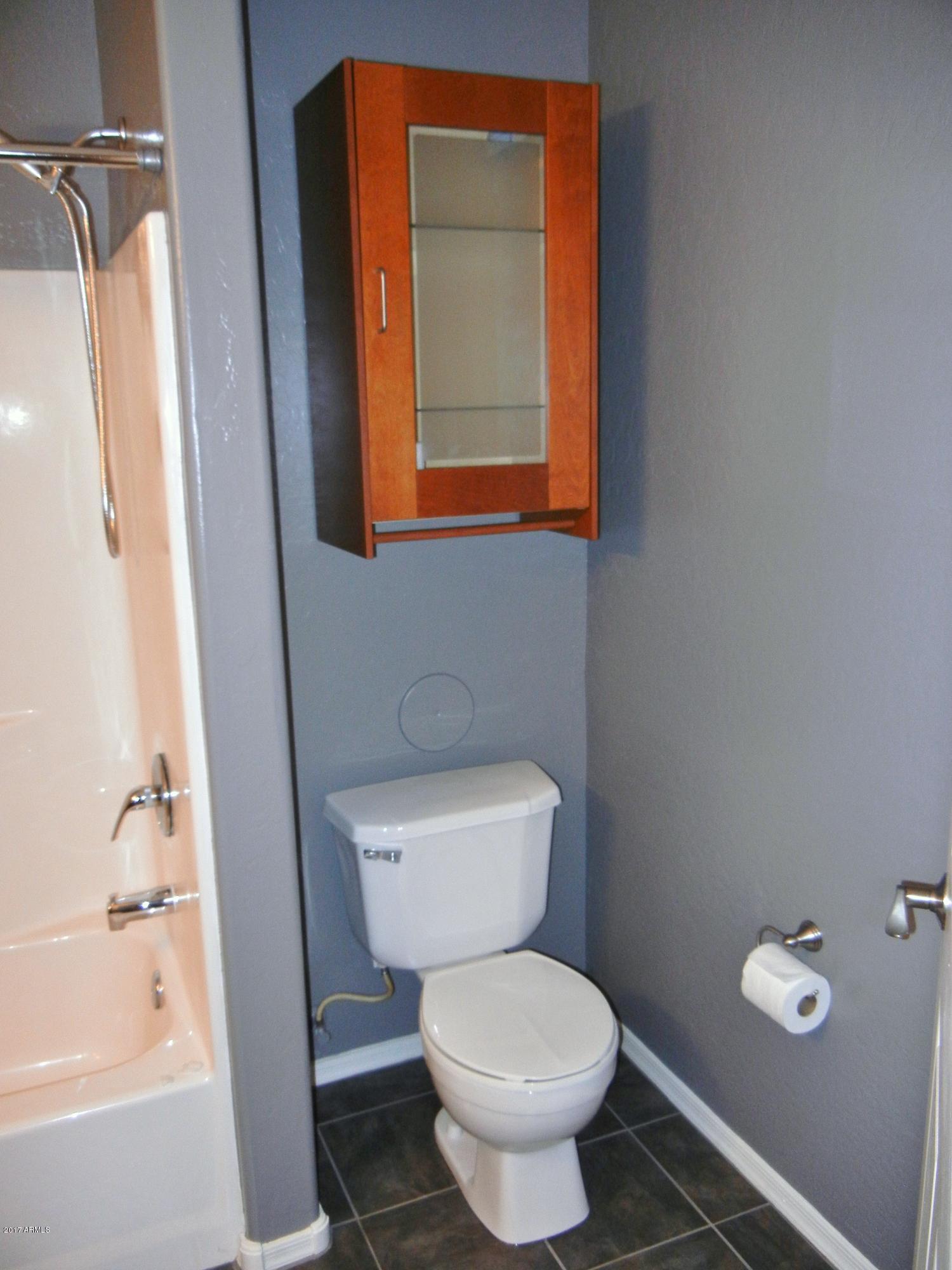 1287 North Alma School Road, Unit 165 Chandler, AZ 85224 - Photo 16 of 28 Alma Sch bath 3 DSCN9853