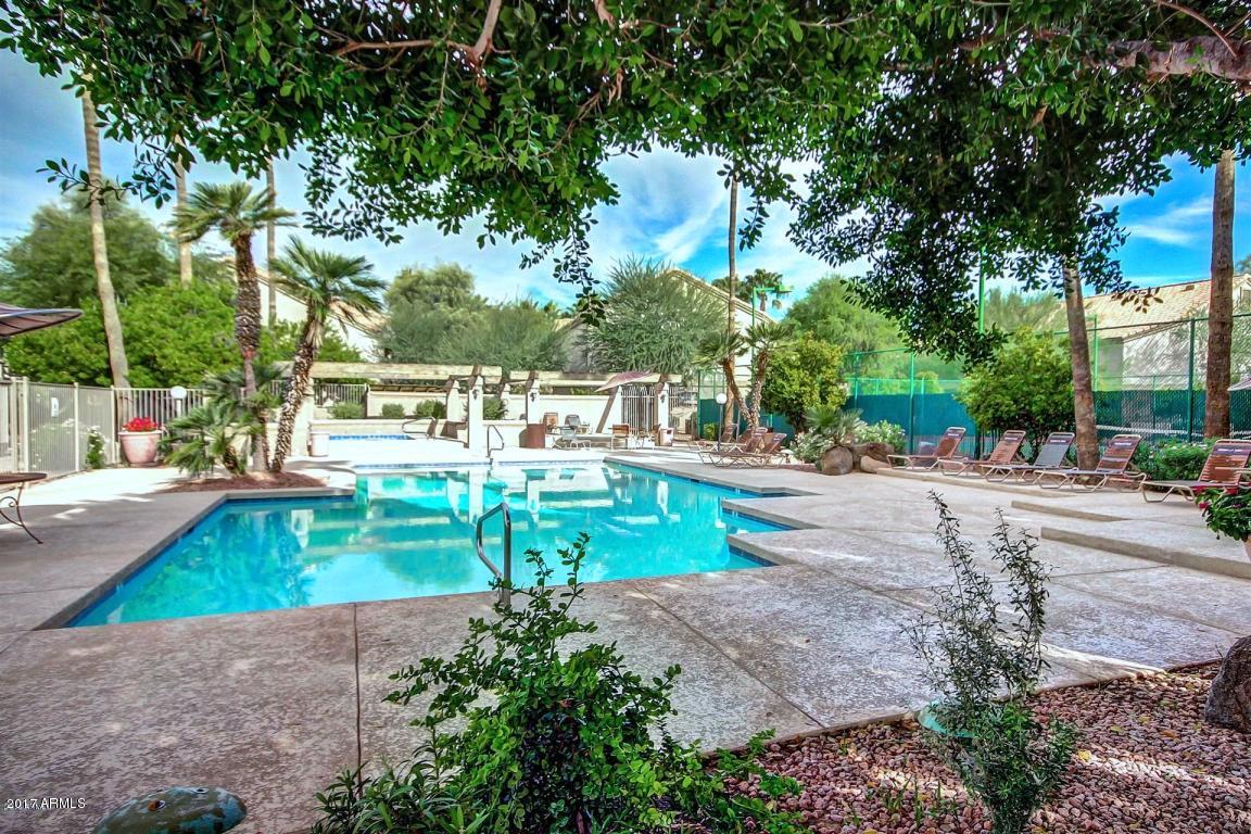 1287 North Alma School Road, Unit 165 Chandler, AZ 85224 - Photo 25 of 28 AS pool-o