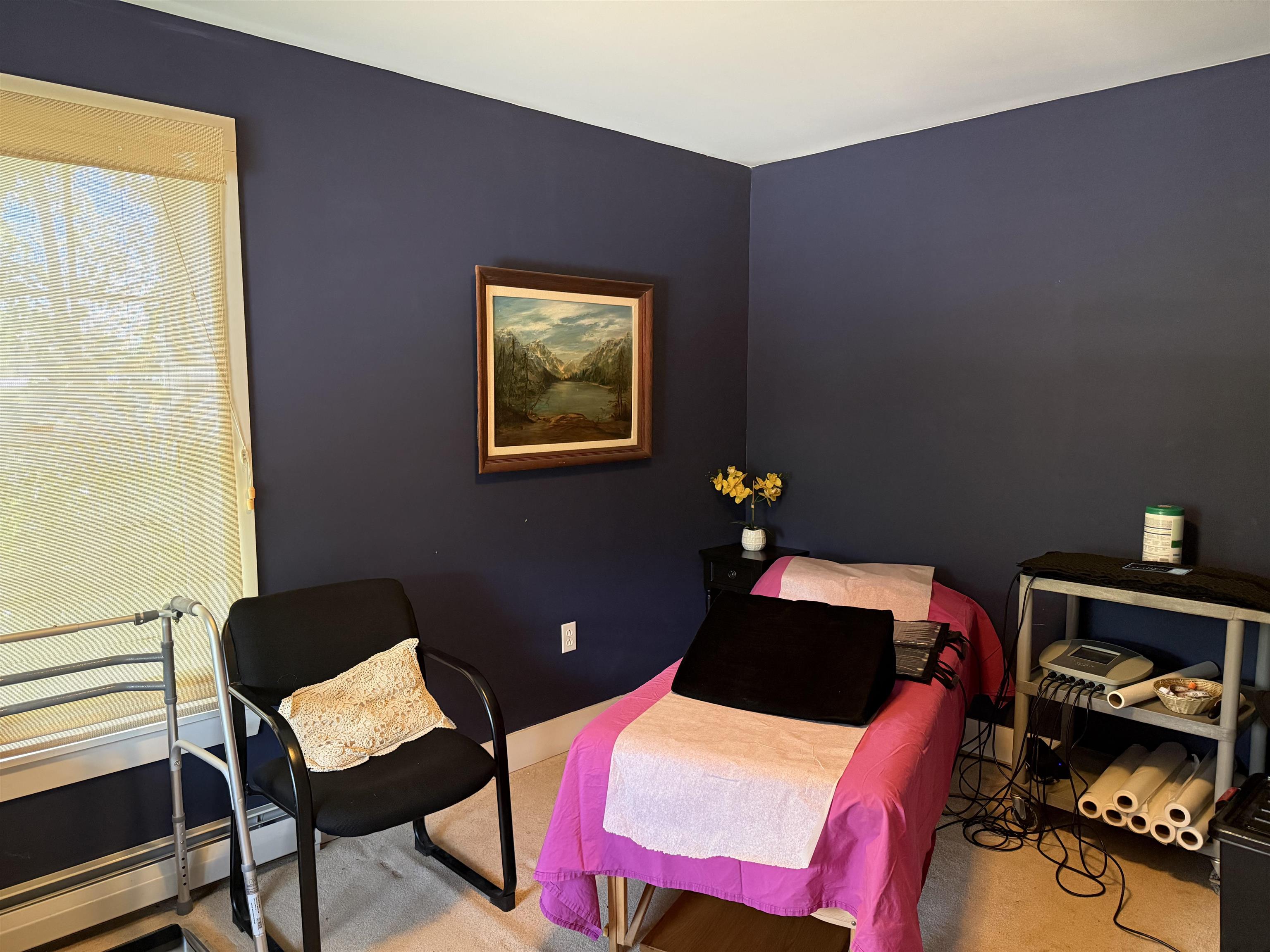 103 Court Street Middlebury, VT 05753 - Photo 25 of 41