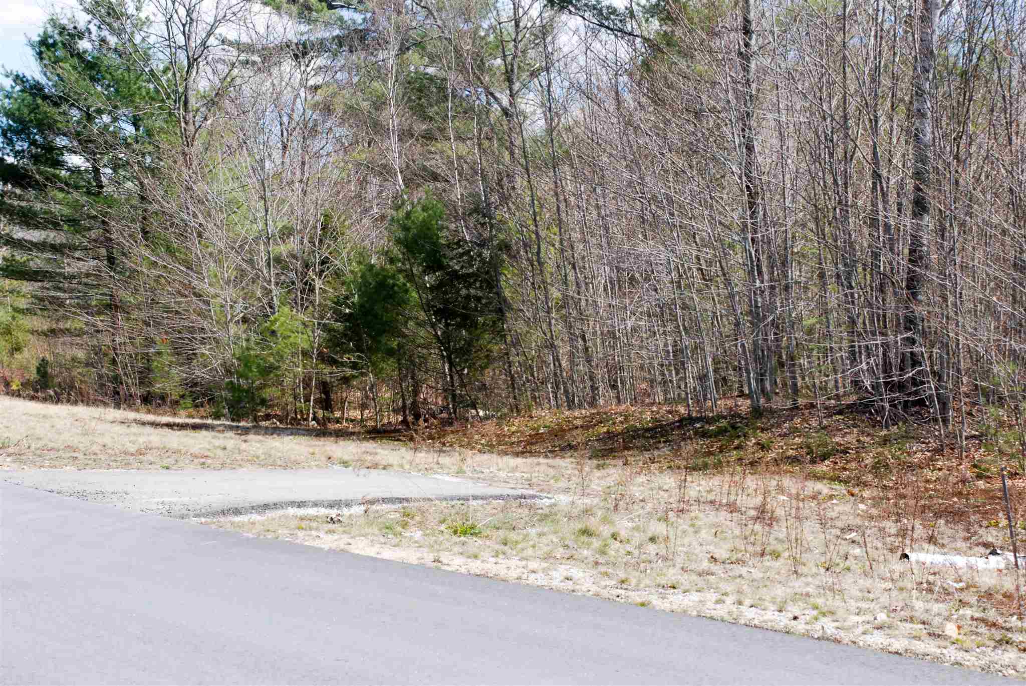 103 Grandview Road Conway, NH 03818 - Photo 2 of 11