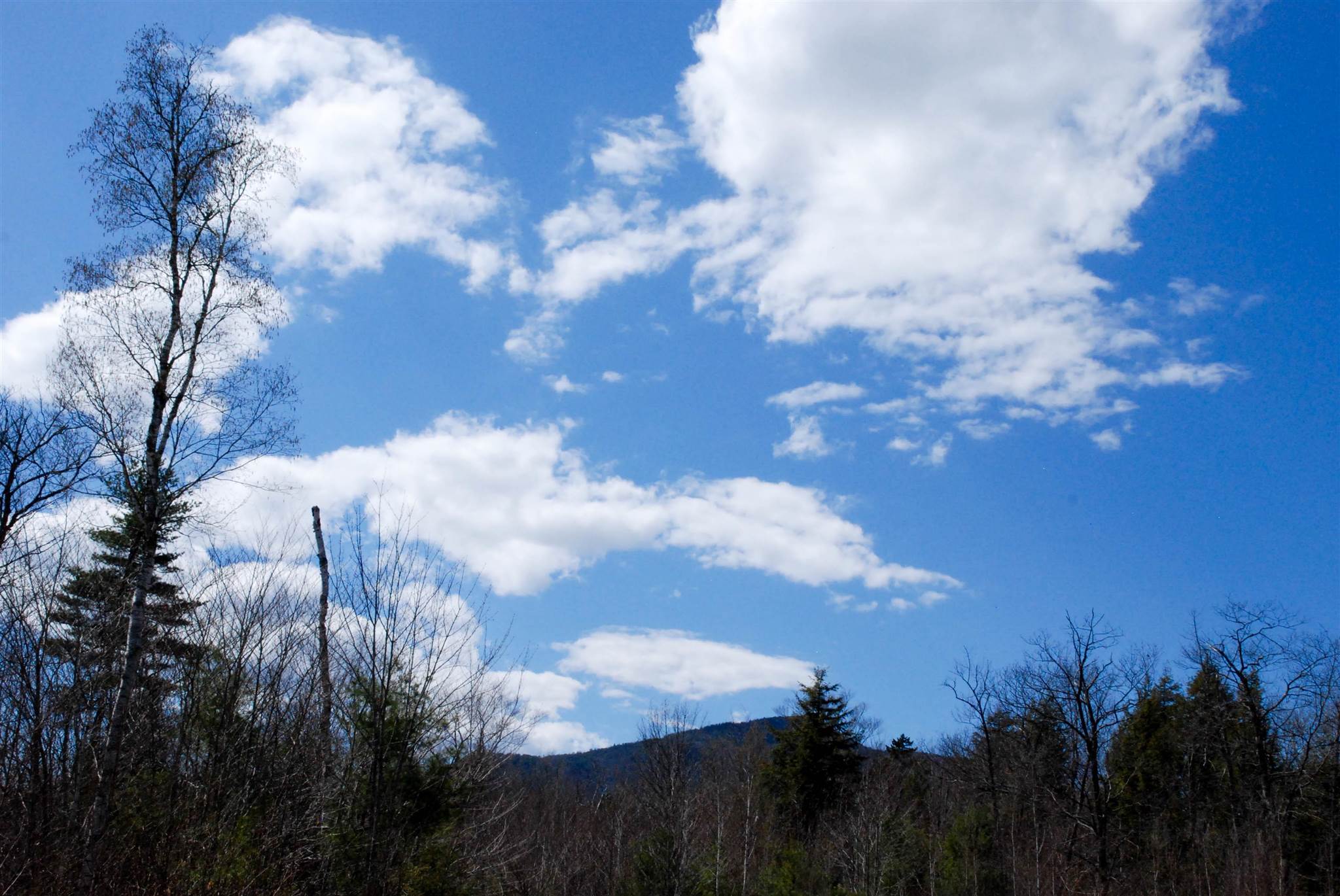 103 Grandview Road Conway, NH 03818 - Photo 11 of 11
