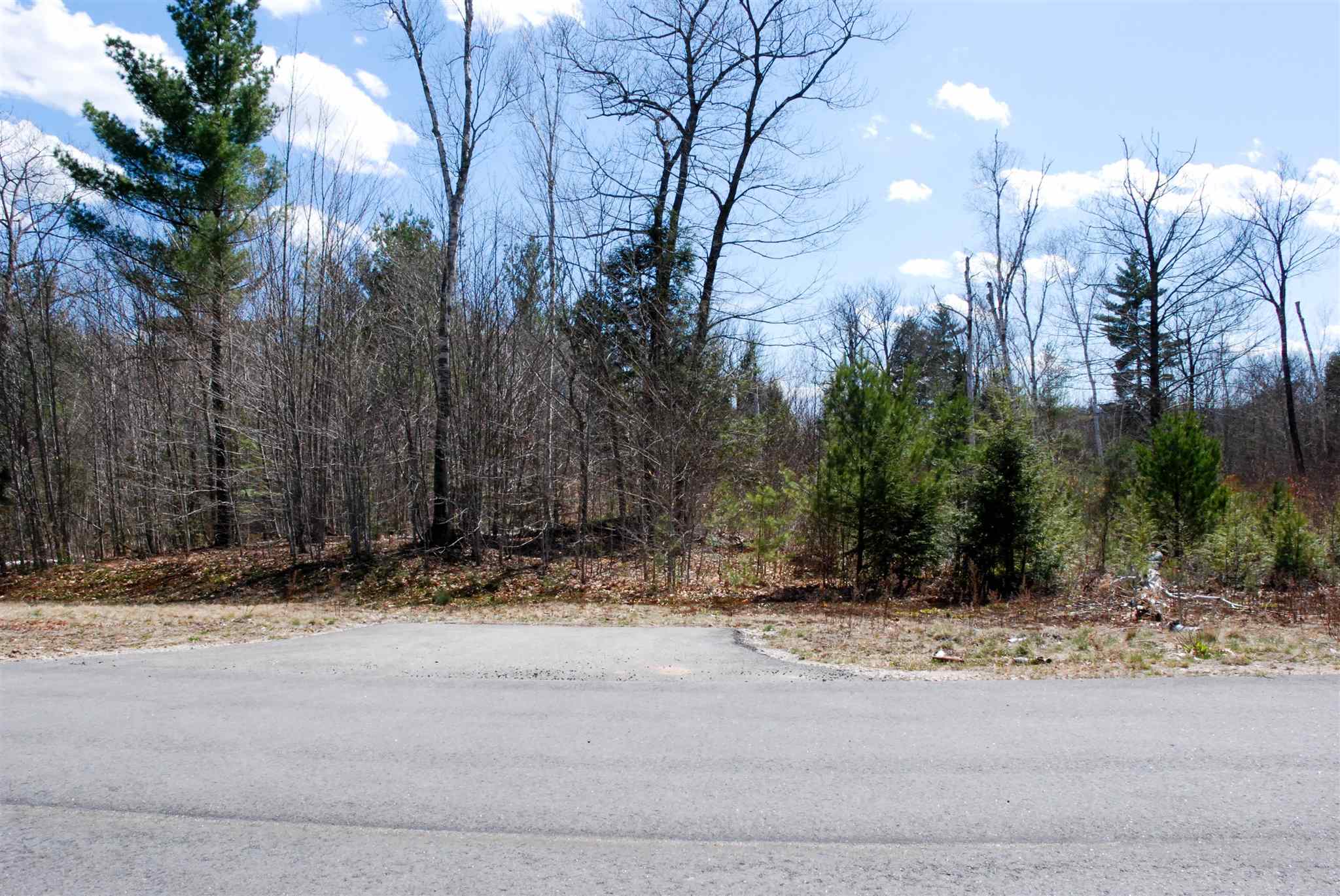 103 Grandview Road Conway, NH 03818 - Photo 3 of 11