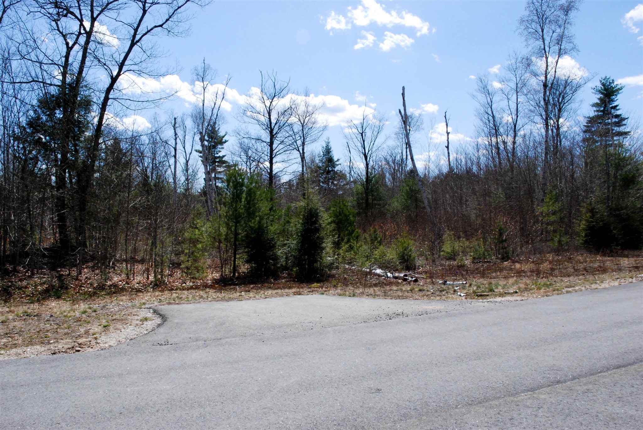 103 Grandview Road Conway, NH 03818 - Photo 4 of 11