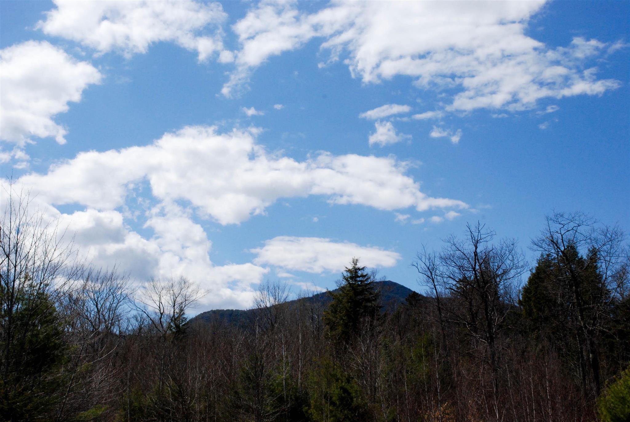 103 Grandview Road Conway, NH 03818 - Photo 5 of 11