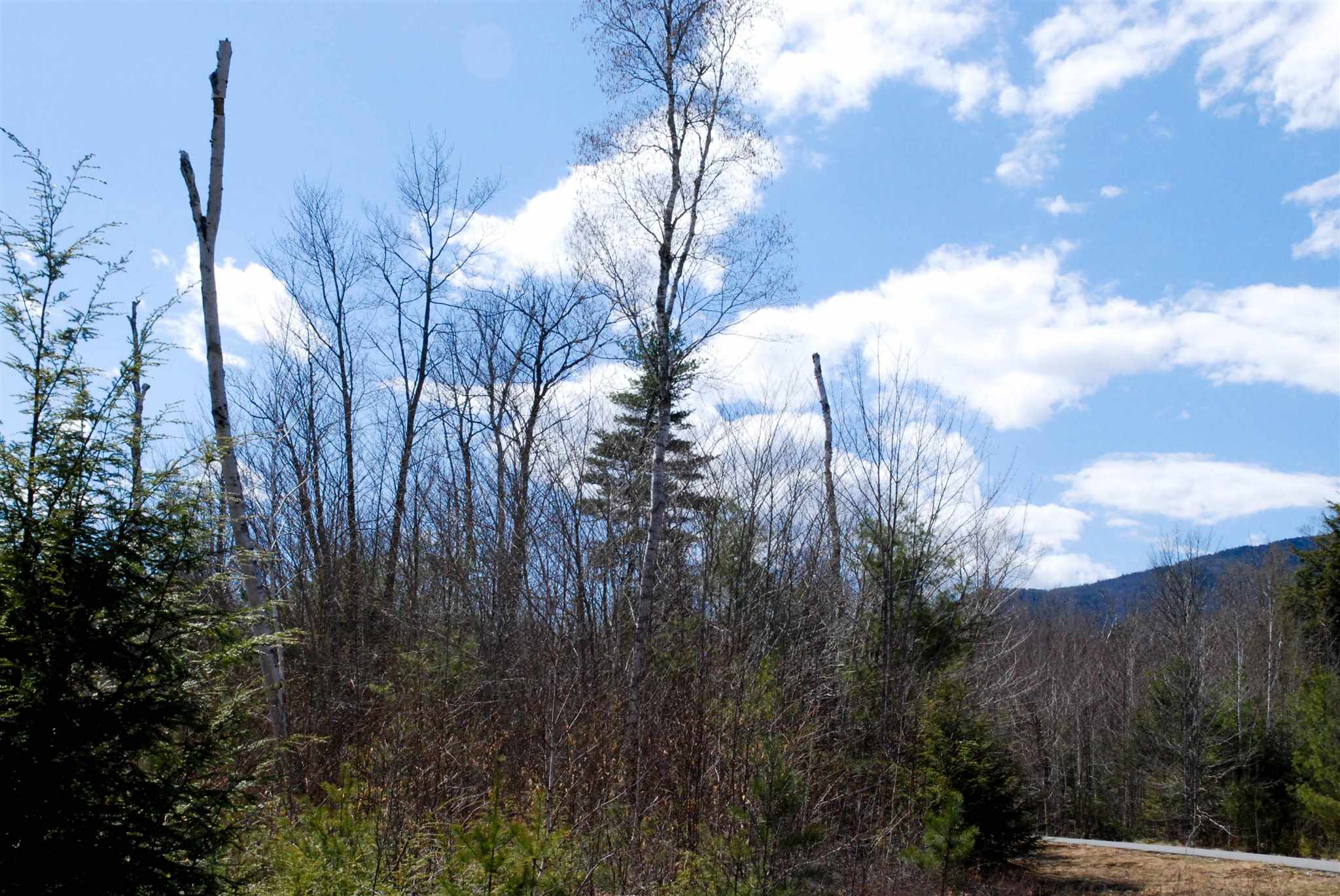 103 Grandview Road Conway, NH 03818 - Photo 10 of 11