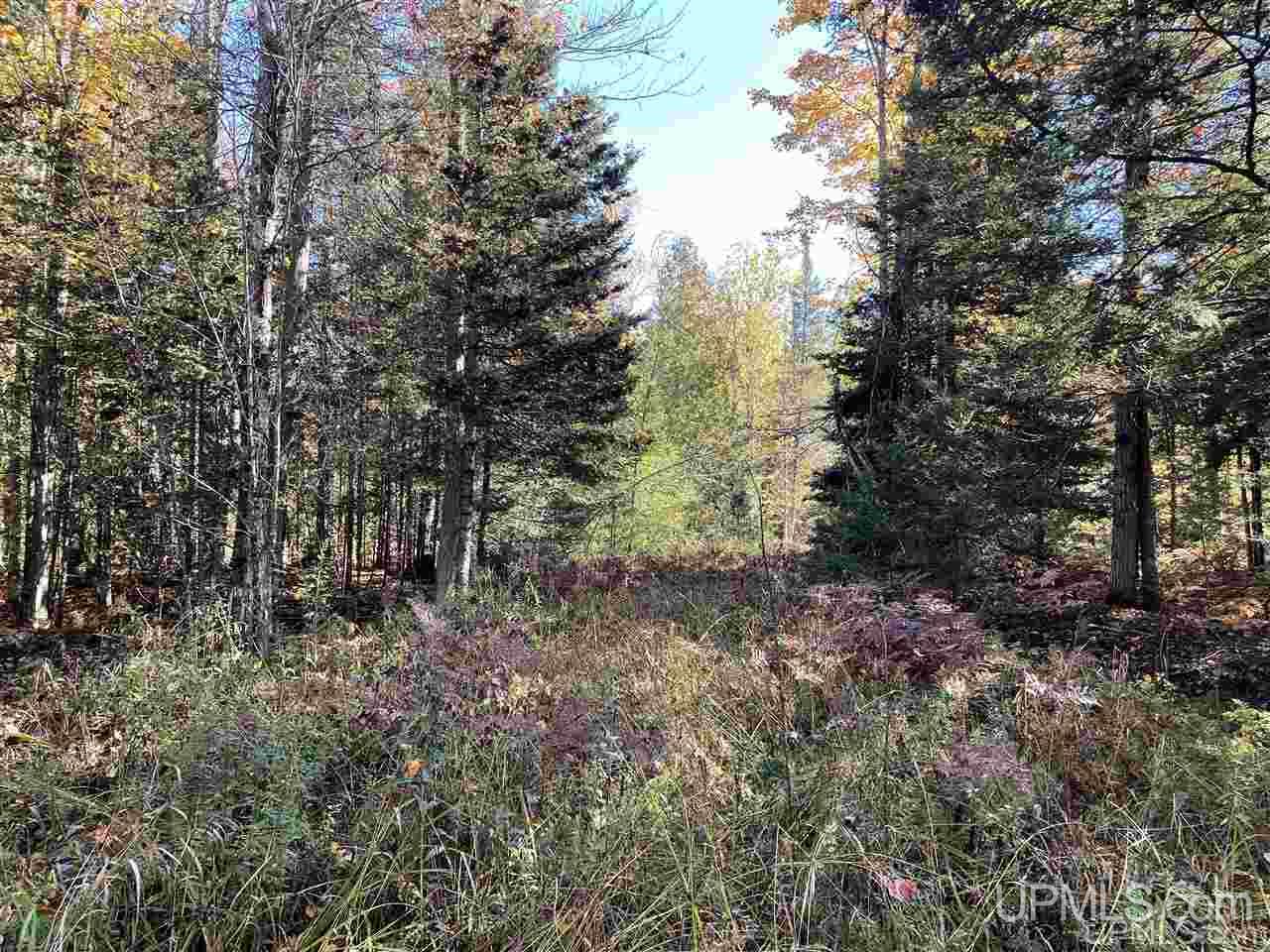 13996 Evergreen Road Rock, MI 49880 - Photo 29 of 47 Gallery Image 29