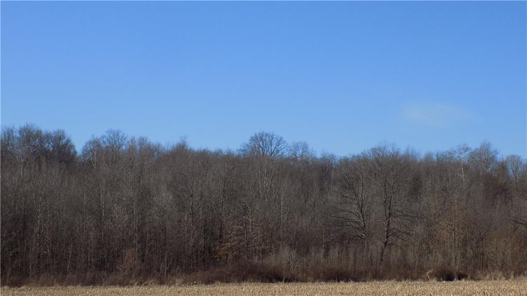 0 Co Rd 775 Reelsville, IN 46171 - Photo 1 of 3 Gallery Image 1