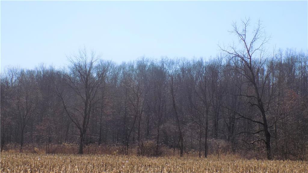 0 Co Rd 775 Reelsville, IN 46171 - Photo 3 of 3 Gallery Image 3