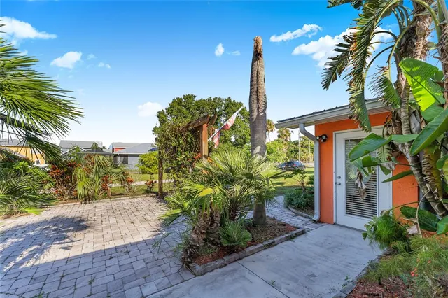a view of a garden with a tree