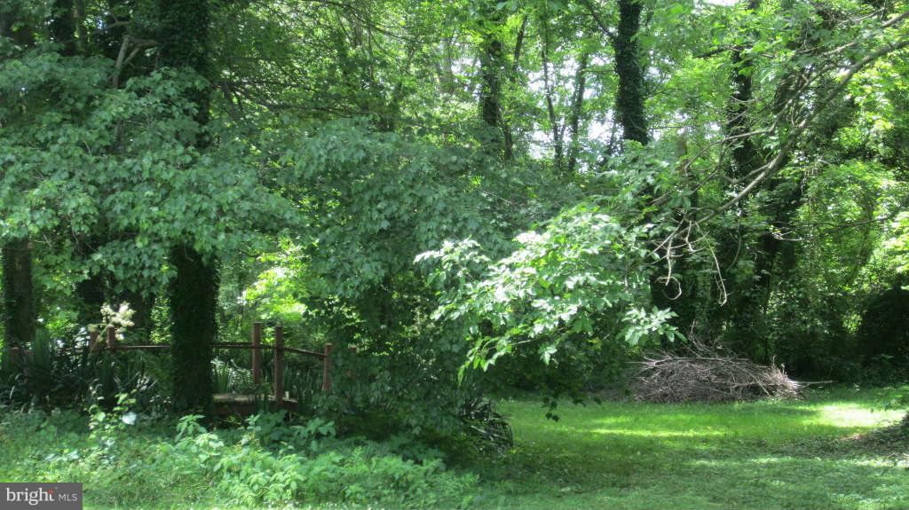 60 Frazier Road Warrenton, VA 20186 - Photo 29 of 30 Lawn on Lot ThirtyOne