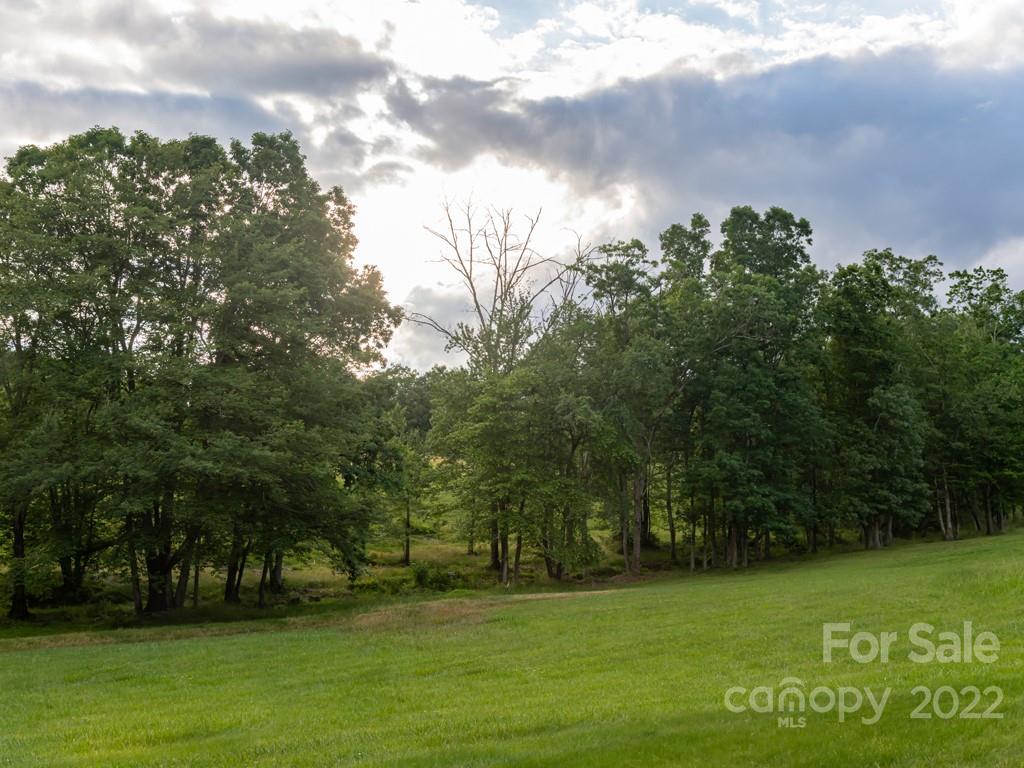 15 Jerico Ridge Road, Unit 15 Fletcher, NC 28732 - Photo 2 of 7 Gallery Image 2