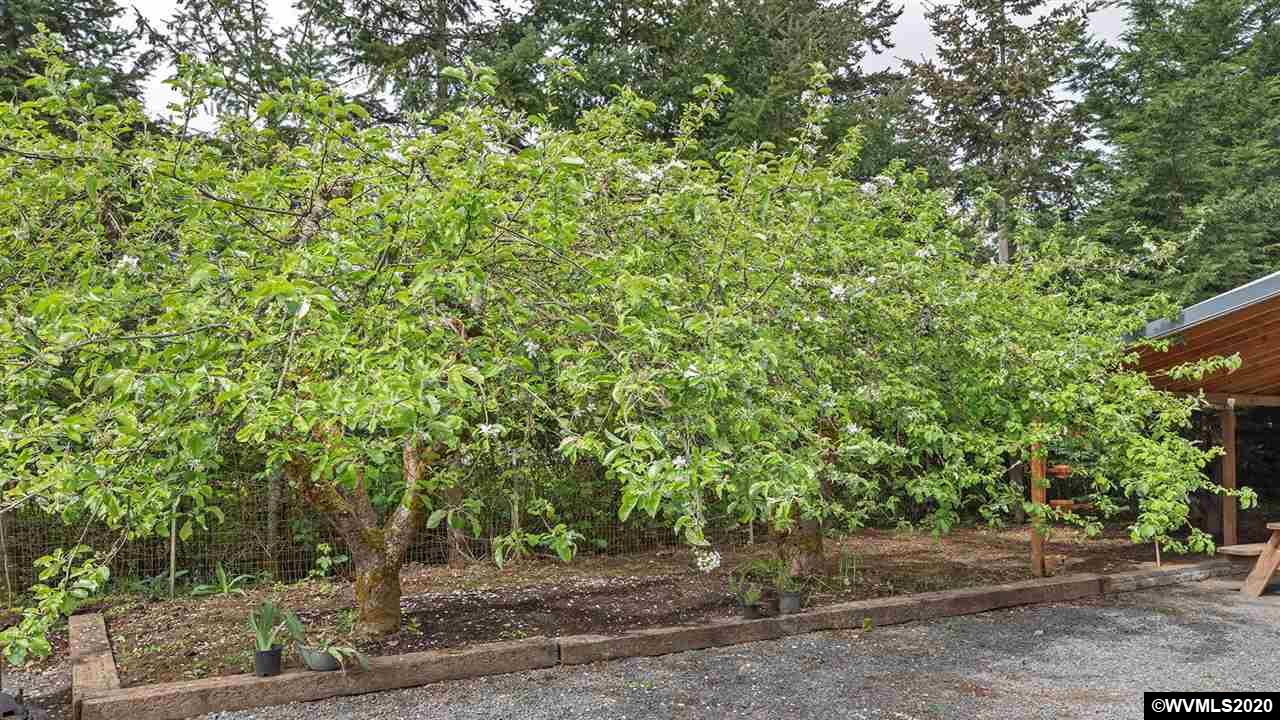 30630 Fairview Road Lebanon, OR 97355 - Photo 31 of 32 Gallery Image 31