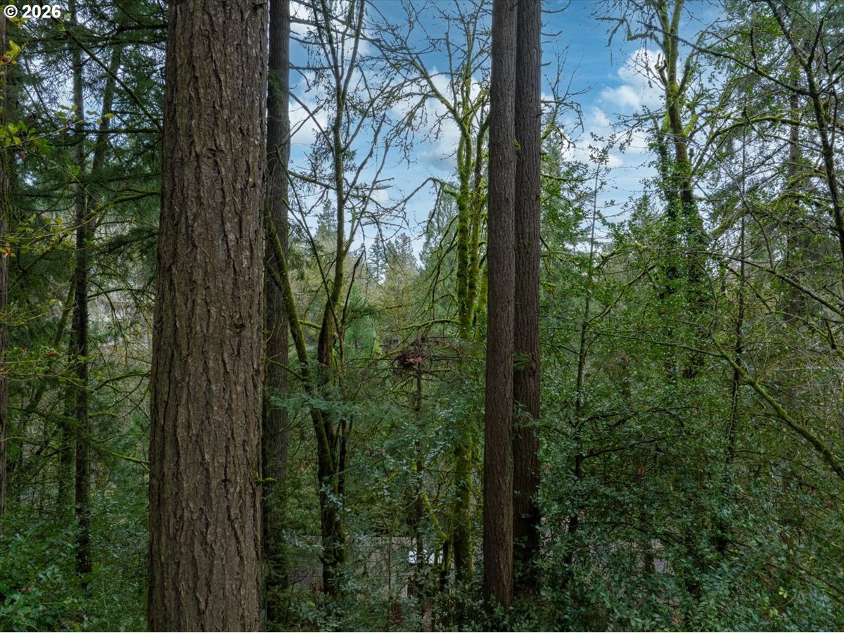 3014 Southwest Nottingham Drive Portland, OR 97201 - Photo 16 of 22 a view of a trees and yard