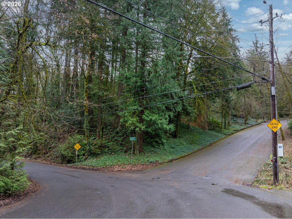 3014 Southwest Nottingham Drive Portland, OR 97201 - Photo 10 of 22 a view of a street with a trees