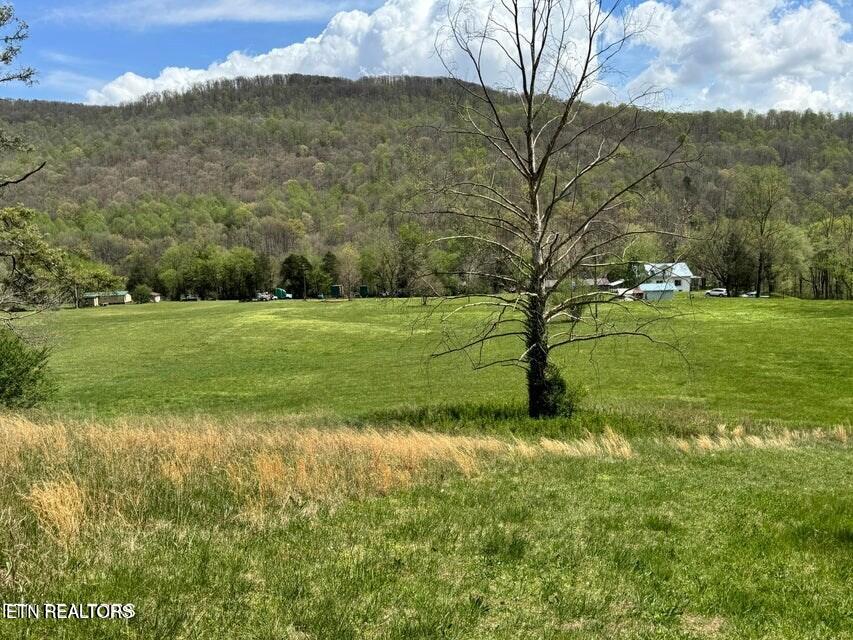 112 Shiloh Road Allred, TN 38542 - Photo 9 of 60 243662_8