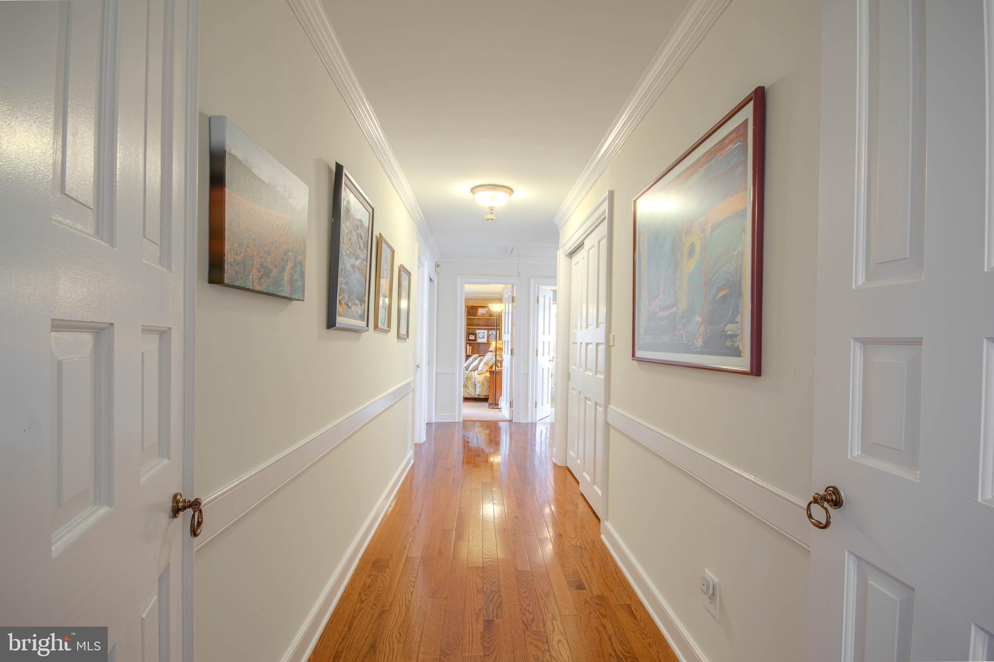 619 Ridge Road Salisbury, MD 21801 - Photo 41 of 81