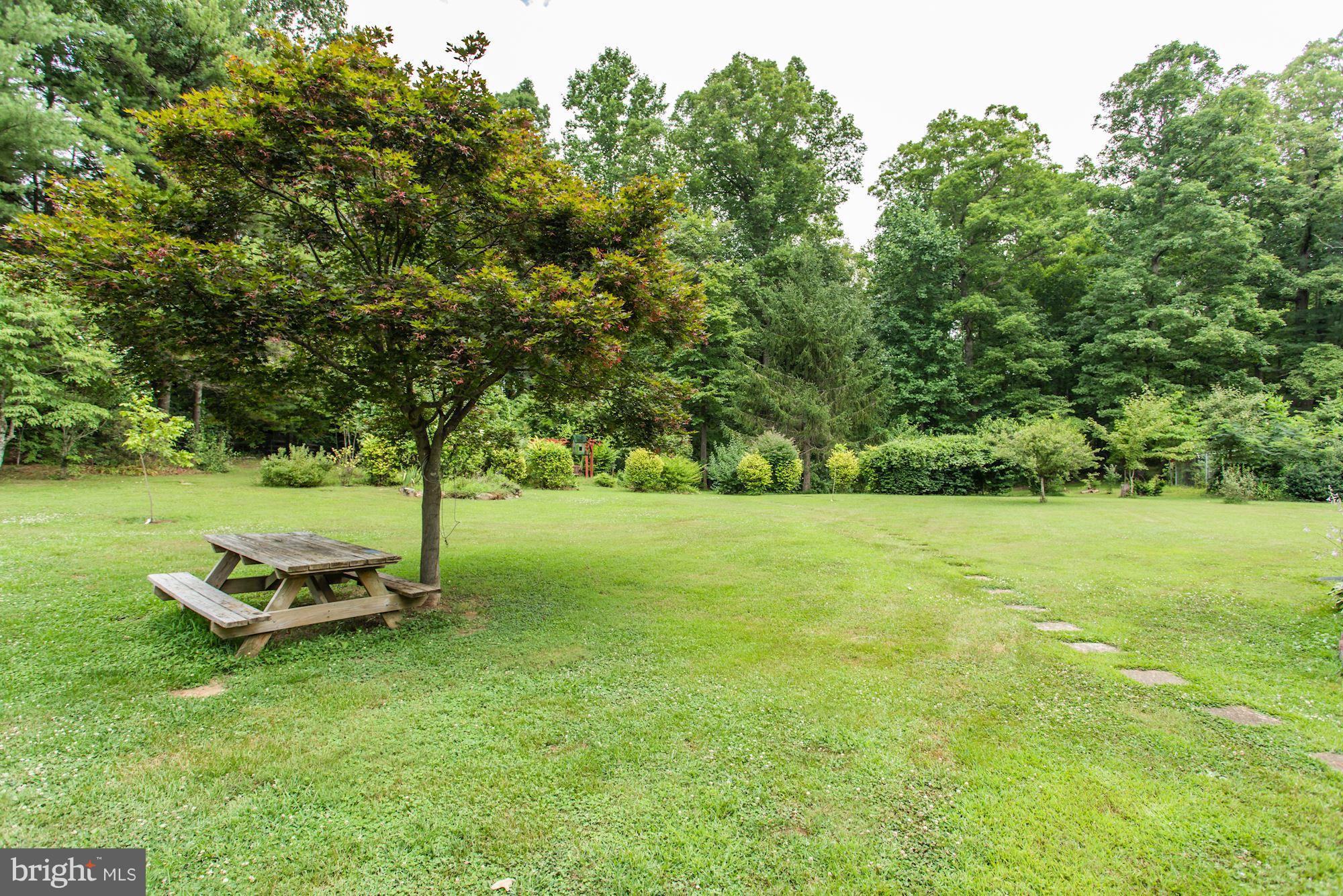 6591 Waterford Road Rixeyville, VA 22737 - Photo 19 of 26 Exterior (Rear)