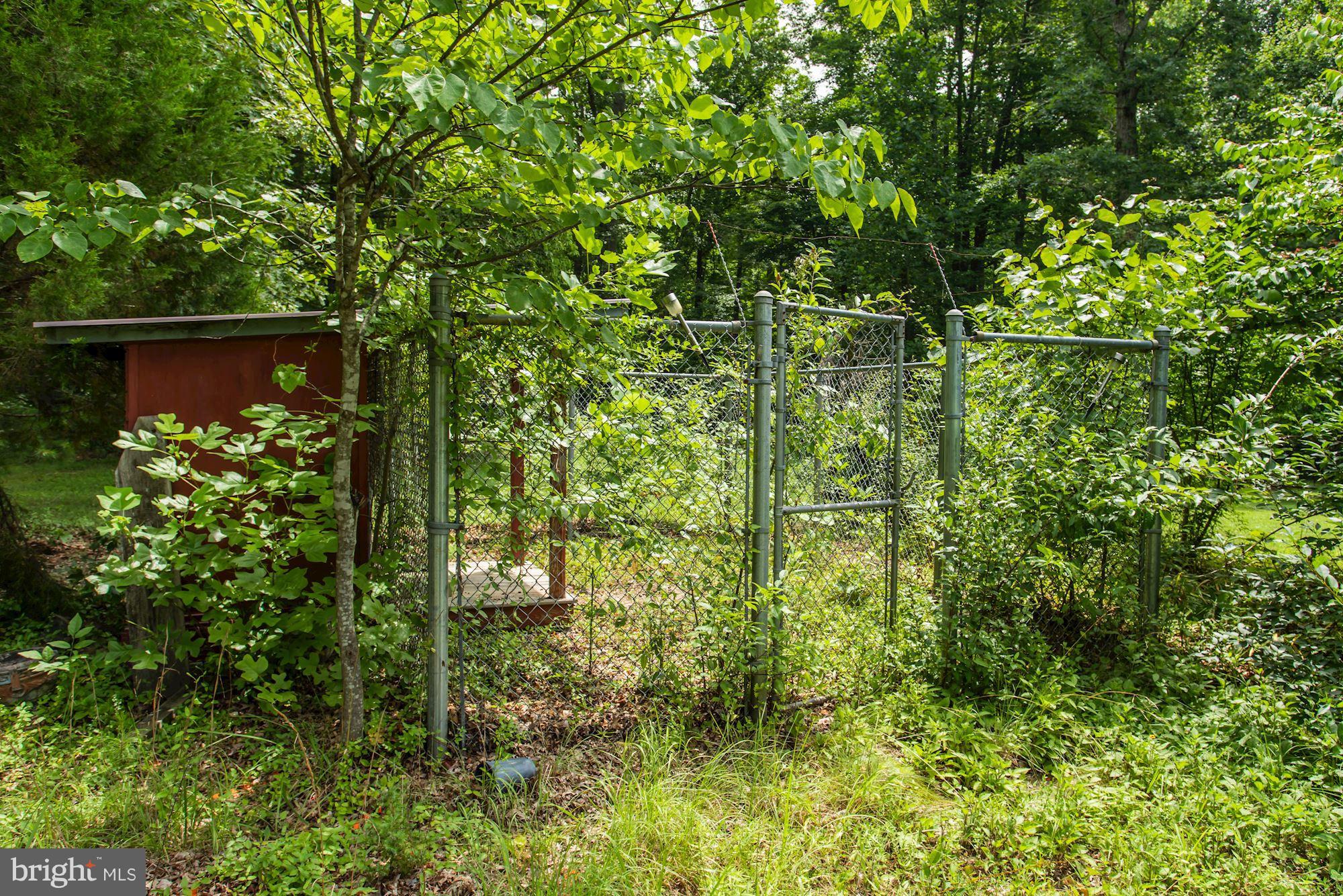 6591 Waterford Road Rixeyville, VA 22737 - Photo 25 of 26 Dog Kennel