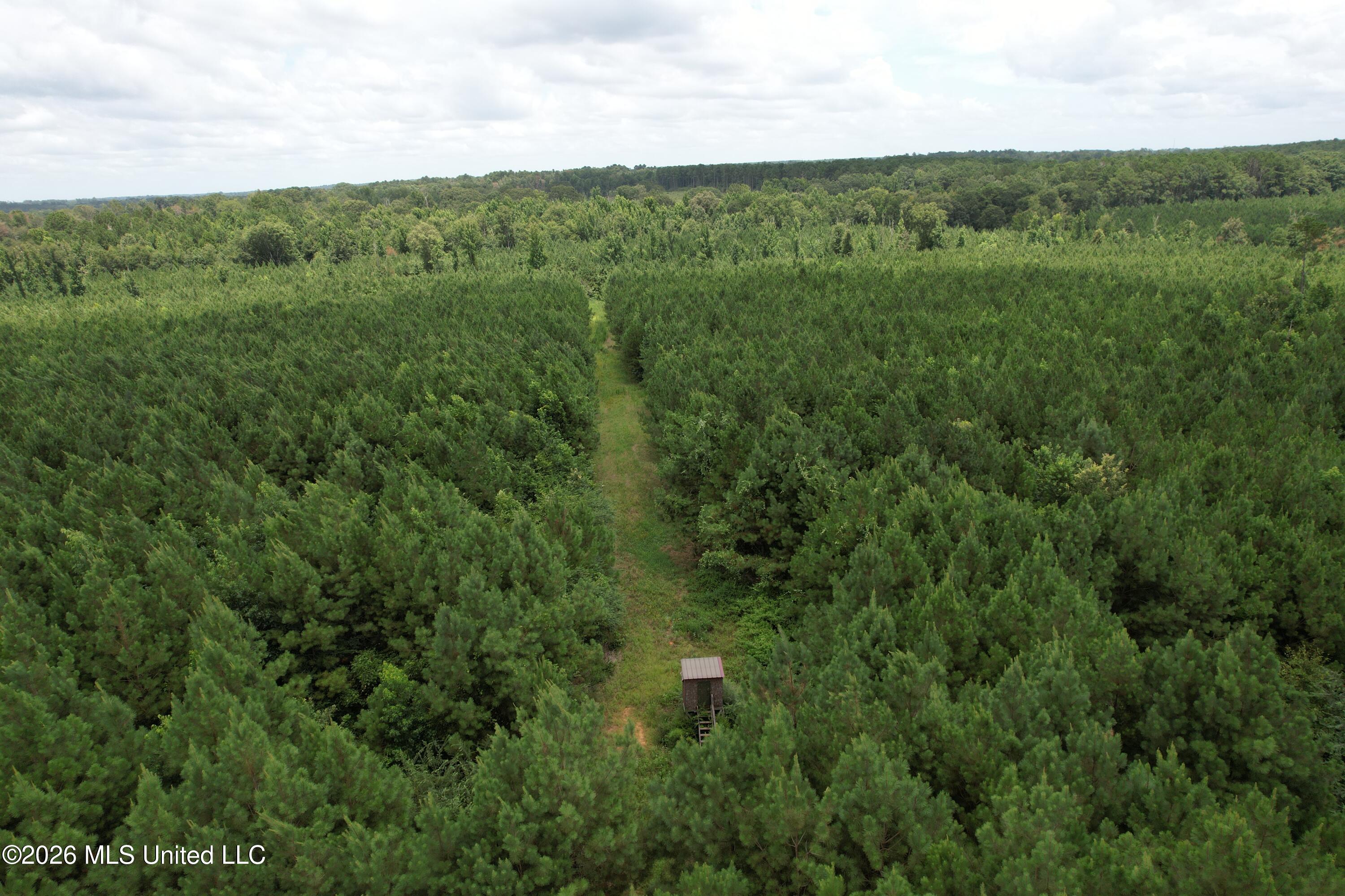 Smith County Road Pulaski, MS 39152 - Photo 16 of 47 DJI_0670