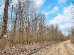 1 Noble-Swamp Road Lorman, MS 39096 - Photo 19 of 45 20250707200522425664000000