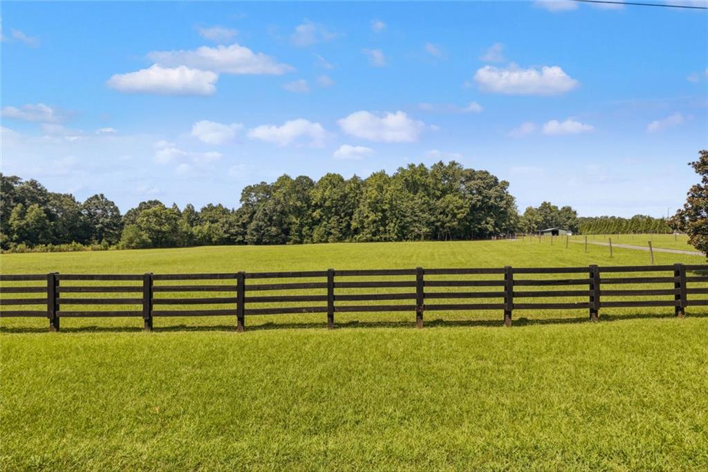 1064 Chappell Mill Road Milner, GA 30257 - Photo 67 of 82 Gallery Image 67