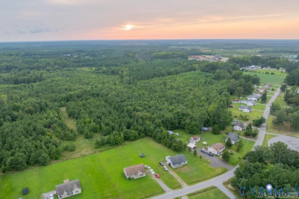 0 Horseshoe Road Jarratt, VA 23867 - Photo 4 of 8 a view of a golf course with trees