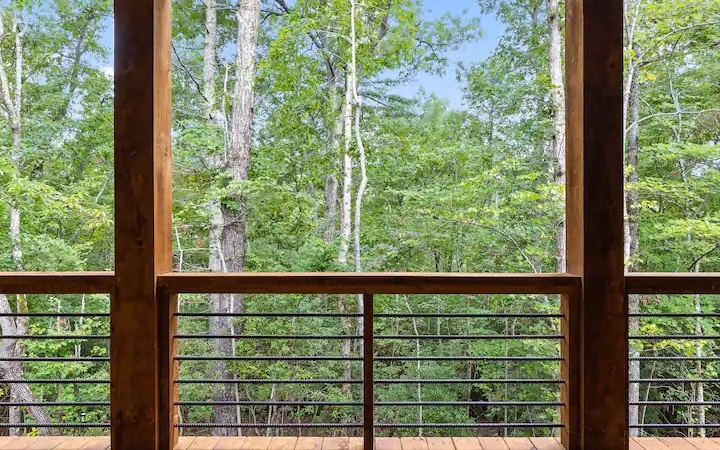 1155 Dills Road Blue Ridge, GA 30513 - Photo 51 of 56 Additional View