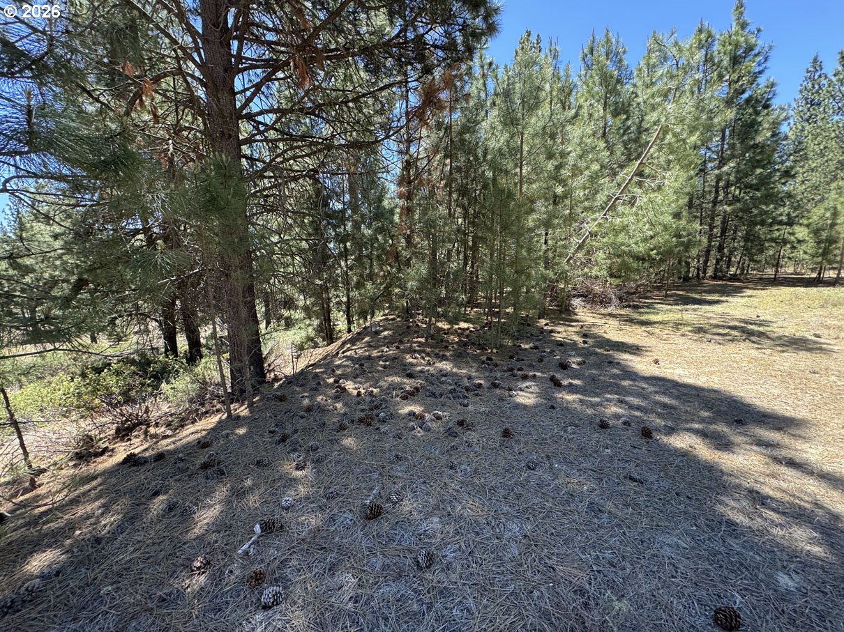 Friendship Drive, Unit 12 Chiloquin, OR 97624 - Photo 20 of 28