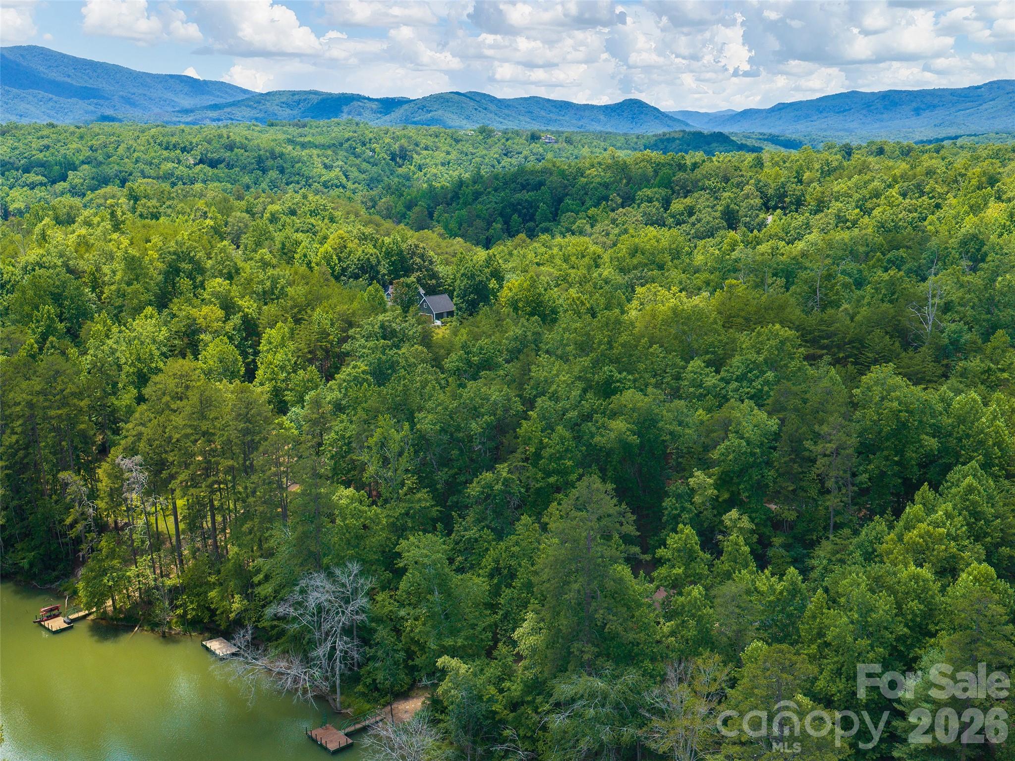 Lot 14 Parkway North Rd Mill Spring, Unit 14 Mill Spring, NC 28756 - Photo 6 of 14